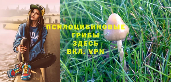 твердый Баксан