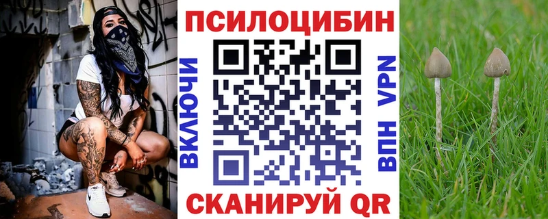 Галлюциногенные грибы Magic Shrooms Купить закладки Алатырь